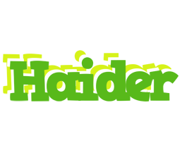 Haider picnic logo