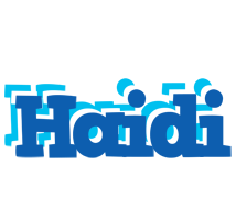 Haidi business logo