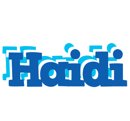 Haidi business logo
