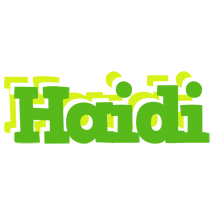 Haidi picnic logo