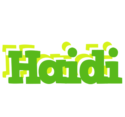 Haidi picnic logo