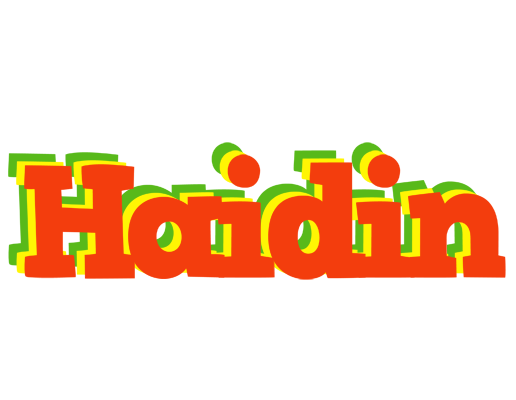 Haidin bbq logo