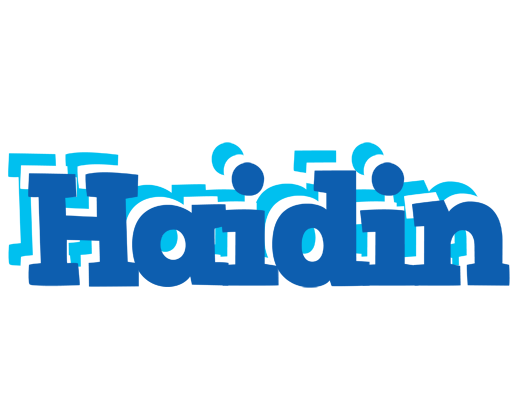 Haidin business logo