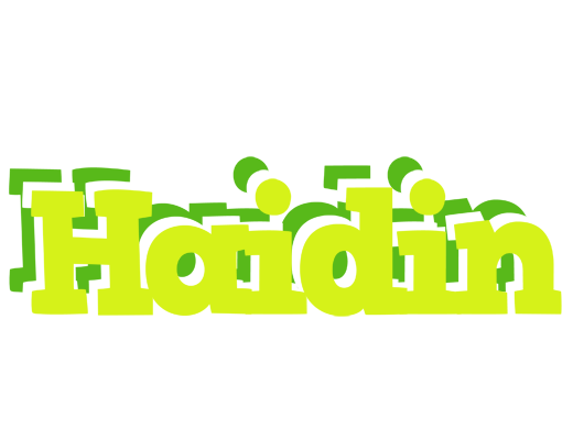 Haidin citrus logo