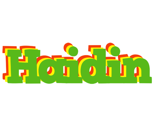 Haidin crocodile logo