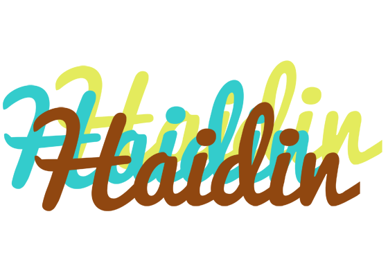 Haidin cupcake logo