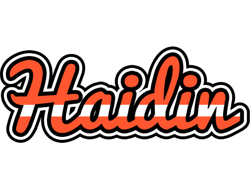 Haidin denmark logo