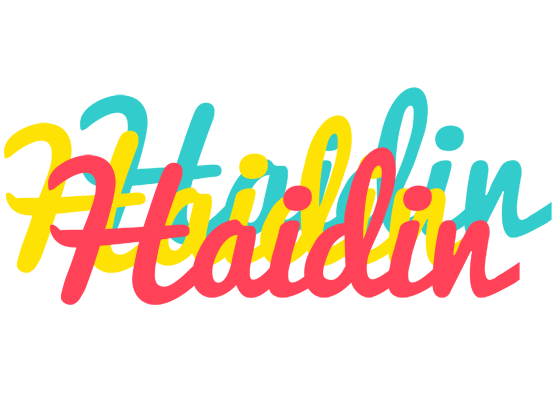 Haidin disco logo