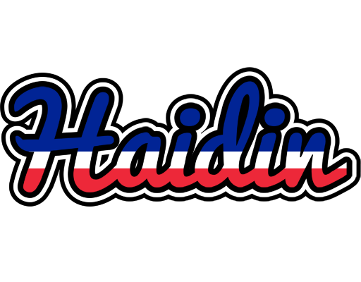 Haidin france logo