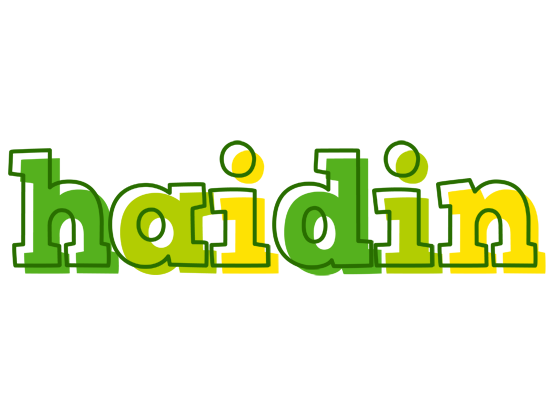 Haidin juice logo