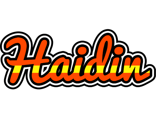 Haidin madrid logo