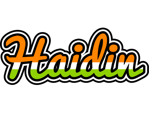 Haidin mumbai logo