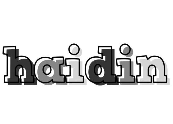 Haidin night logo