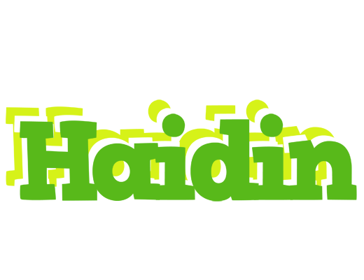 Haidin picnic logo