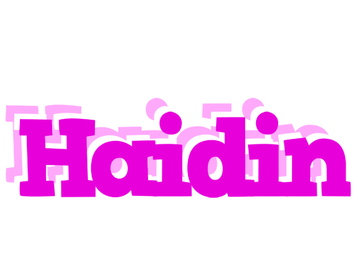 Haidin rumba logo
