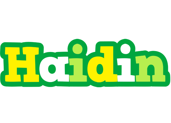 Haidin soccer logo