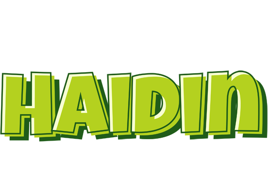 Haidin summer logo