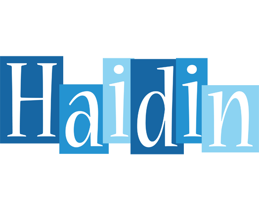 Haidin winter logo