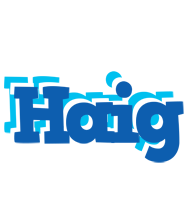 Haig business logo