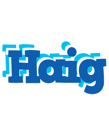 Haig business logo