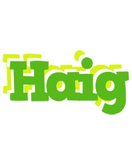 Haig picnic logo