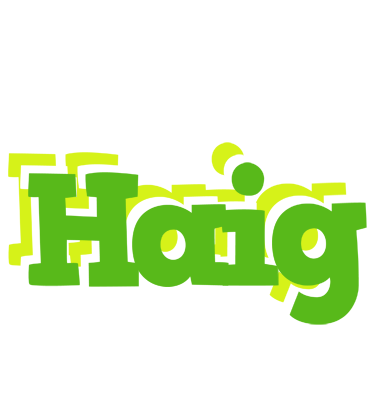 Haig picnic logo