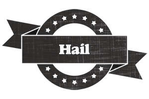 Hail grunge logo