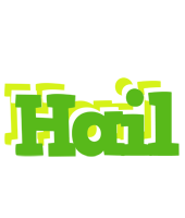 Hail picnic logo