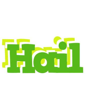 Hail picnic logo