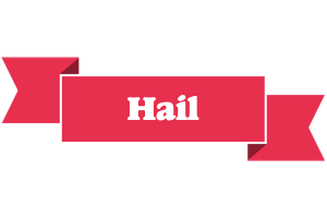 Hail sale logo