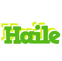 Haile picnic logo