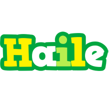 Haile soccer logo