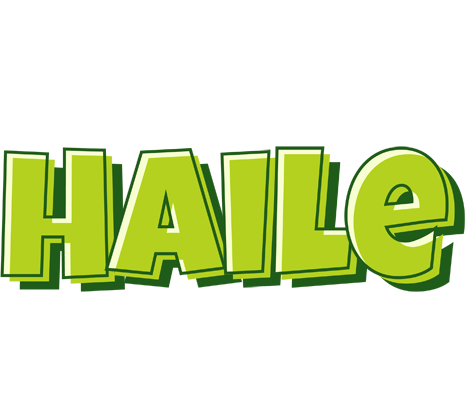 Haile summer logo