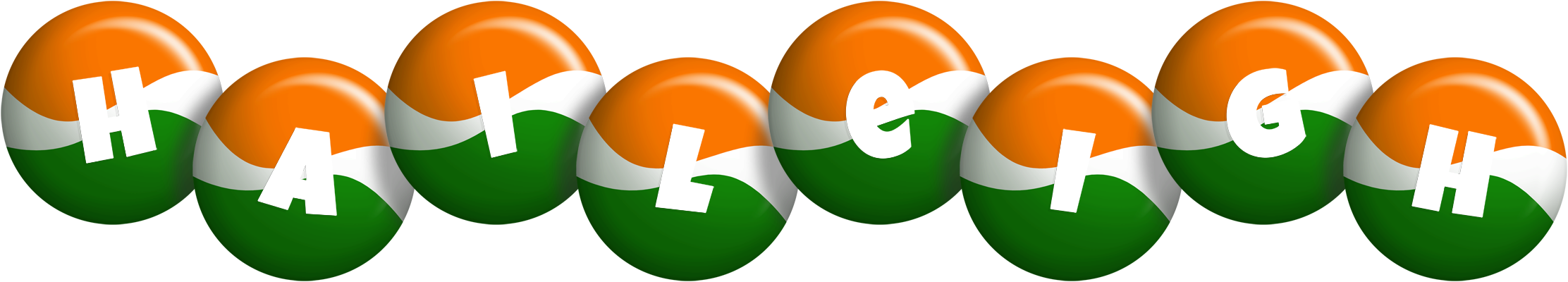 Haileigh india logo