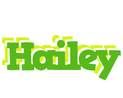 Hailey picnic logo