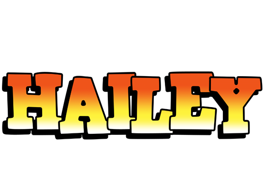 Hailey sunset logo