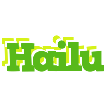 Hailu picnic logo