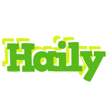 Haily picnic logo