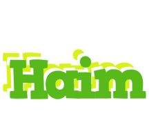 Haim picnic logo