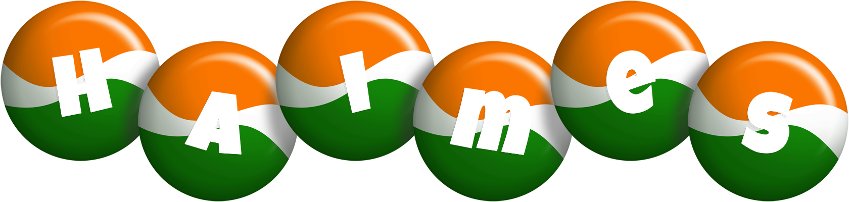 Haimes india logo