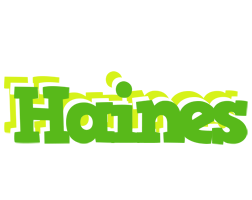 Haines picnic logo