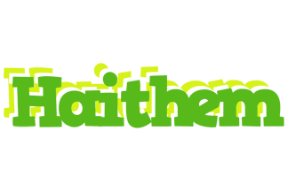 Haithem picnic logo