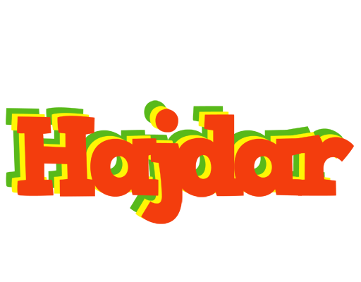 Hajdar bbq logo