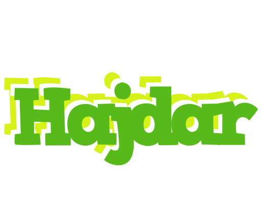 Hajdar picnic logo