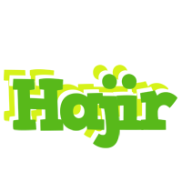 Hajir picnic logo