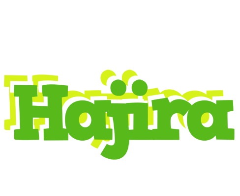 Hajira picnic logo