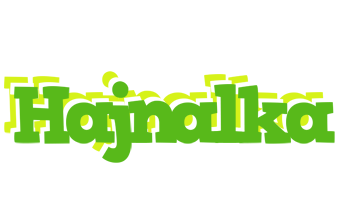 Hajnalka picnic logo
