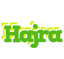 Hajra picnic logo