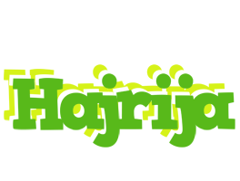 Hajrija picnic logo