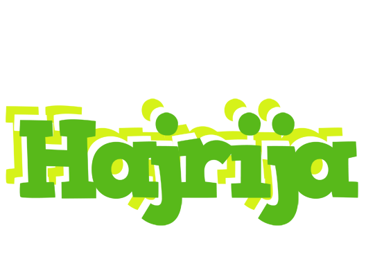 Hajrija picnic logo